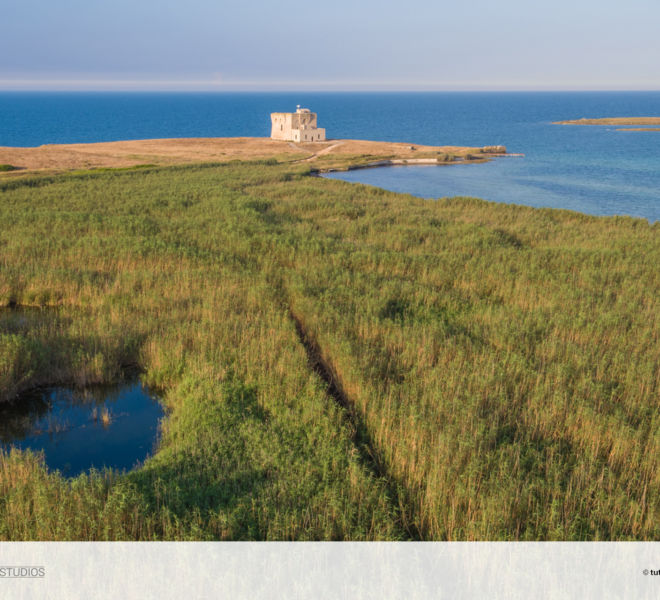 torre_guaceto